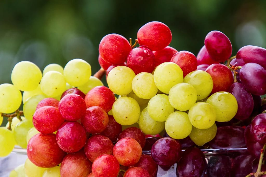 Grapes.Webp